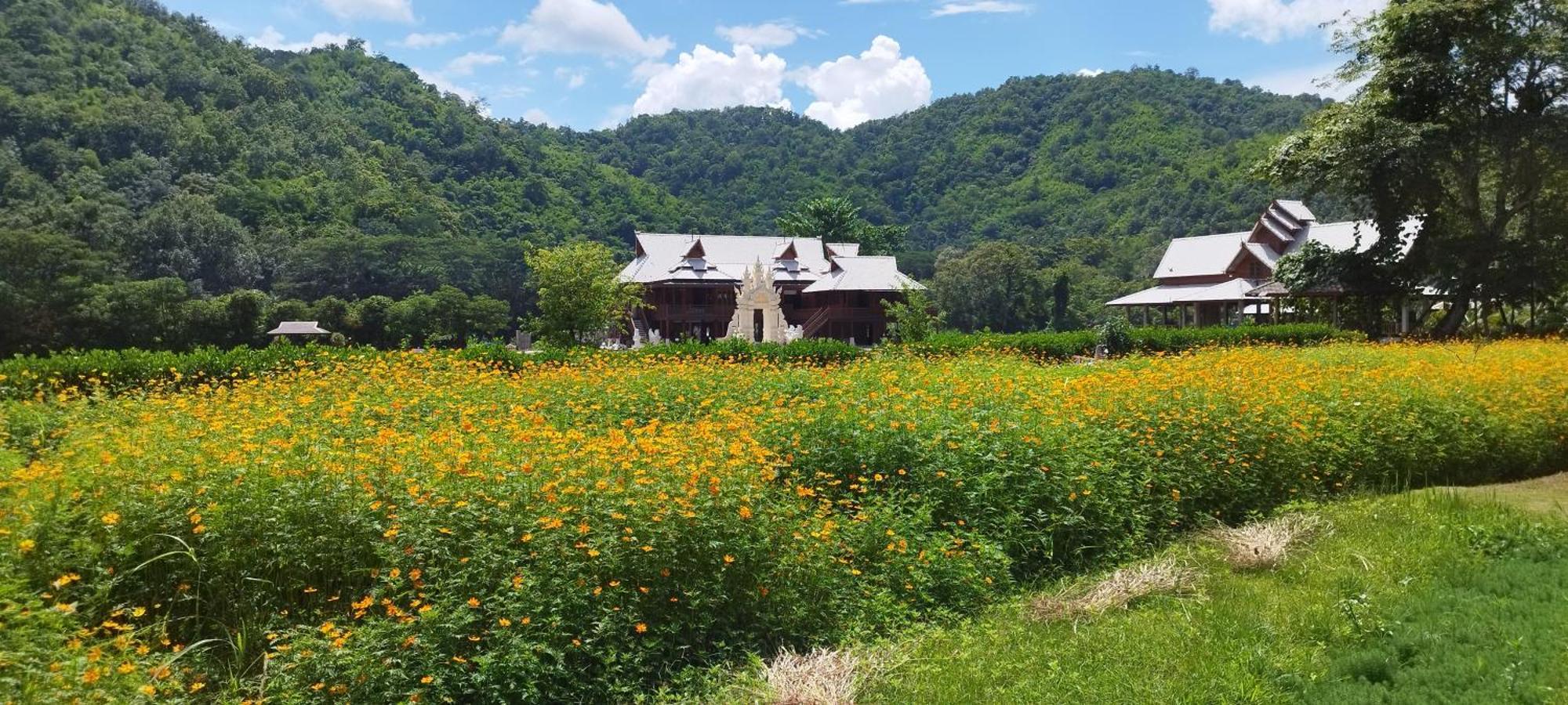La Villa De Madame Su Chiang Mai Exterior foto
